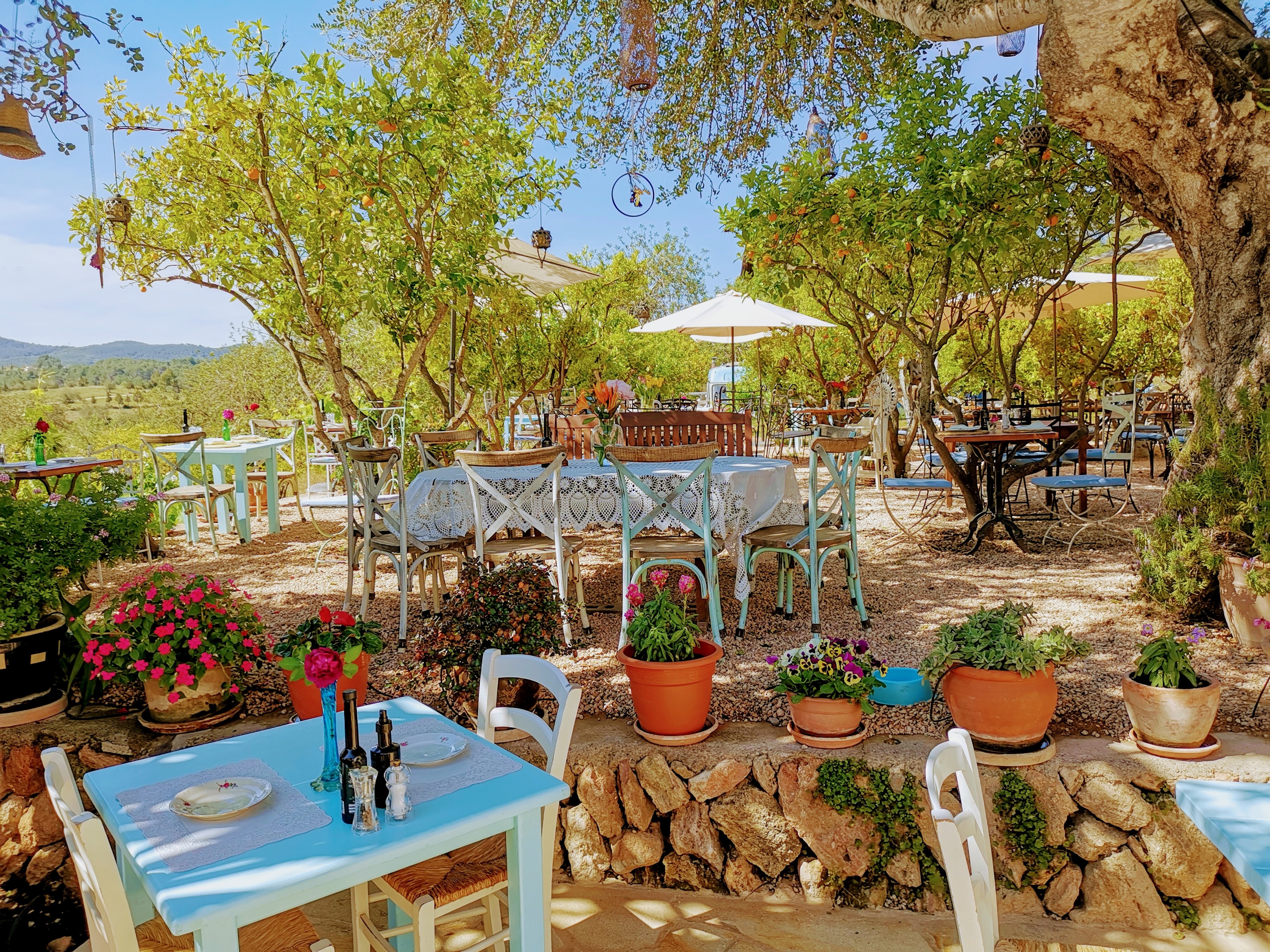 Jardín de un restaurante en Ibiza